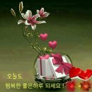 상모제일주유소 이미지