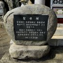 성모사 이미지