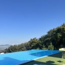 미스터와이 애견풀빌라 | 인천 영흥도 미스터와이풀빌라 애견 풀빌라 후기:)