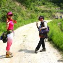 대광천(1) 이미지