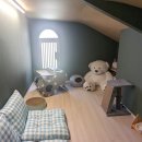 라쿤 하우스 이미지