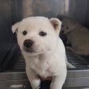 완산초등학교 이미지