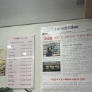 무교동 낙지나라 | 면목동 사가정역 낙지볶음 :: 이강분 무교동 낙지나라 본점 애견동반 방문 후기