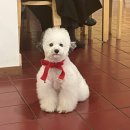 휘떡휘떡 | 하루하루