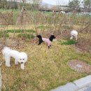 강남동물약국 이미지