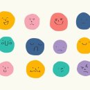 광주 고양이 분양 냥블리 광주점 이미지