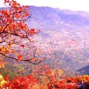향산요 이미지