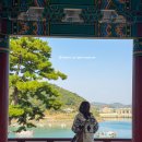 보령해사 행정사무소 | 충남 보령 충청수영성 오천항 동백꽃필무렵 촬영지 가을산책