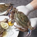 연평바다살리기영어조합법인 이미지