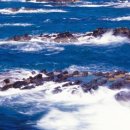 갯마을을 그리워하는 이미지