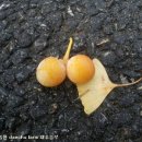 우리마을카센터 이미지
