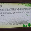 저지오름 이미지