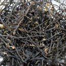 김경철농장 이미지