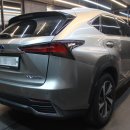 세차의품격 | 일산 손세차, 렉서스 NX300h의 품격을 되살린 디테일링 세차 후기