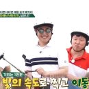 낙타와돌고래 이미지