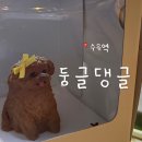 [둥글댕글] 강아지 케이크 및 수제간식 / 케이크 기호성 / 강북 수유 원데이 클래스