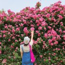 미니스톱 한강양화2점 이미지