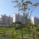 풍기동 447 이미지