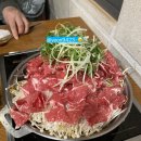 삼천포금화돈