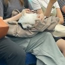 2023년 6월 퇴사 후 도비이즈프리 보는 사람 마다 얼굴 좋아졌대요