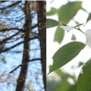 모란한의원 이미지