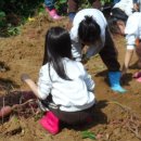 참샘웰빙어린이집 이미지