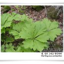 본디올대치한의원 이미지