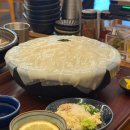 제면소의하루 | 대전 문지 우동 맛집> 에비텐 붓가케우동, 히모카와 우동이 맛있었던 제면소의 하루 내돈내산 솔직후기! 🍜✨