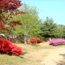 일동라스베가스 공원 이미지