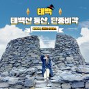 재난CCTV | 영월 단종 태백산 등산코스 시간 단종비각 천제단 CCTV 날씨