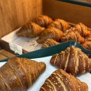 웰브라운(Well Brown) 이미지