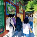원효비기투어