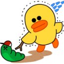 오오다이어트