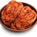 김치랑 이미지