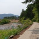 강림면사무소 이미지