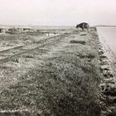 군산한일농장 이미지