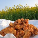서귀포 성산읍치킨 마농치킨 5호점 마늘치킨 유채꽃 바라보며 먹은 후기