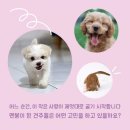 (주)꿈꾸는집2 이미지