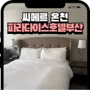 부산시티호텔 | 부산 해운대 5성급 호텔 파라다이스호텔 부산 신관 시티킹 씨메르 온천 후기