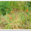 원북농장 이미지