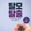 이진약국 이미지