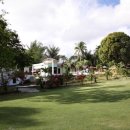 에이스필 이미지