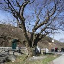 관성목장 이미지