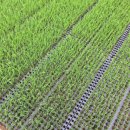 오작교농장 이미지