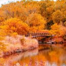 (주)지혜로운세상 이미지