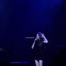 평전(여) | 260111 원더랜드 페스티벌 후기 (3악장 차지연/경희대 평화의 전당 시야)