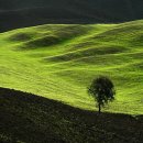 정든목장 이미지