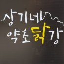 설악산약초