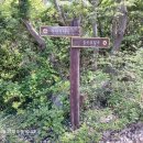 약산면-5 Daum카페