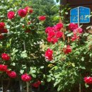 녹수와 청산의 집 이미지